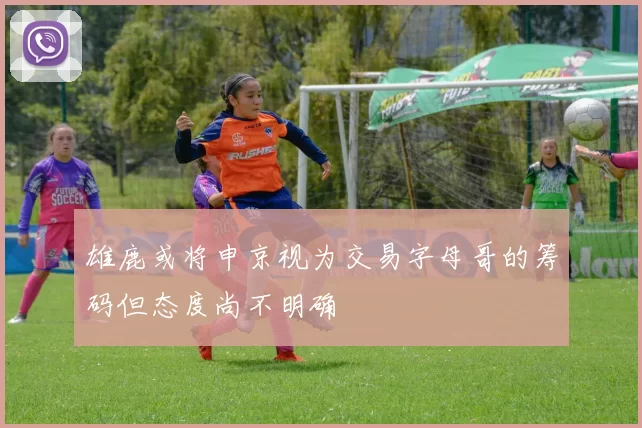 雄鹿或将申京视为交易字母哥的筹码但态度尚不明确
